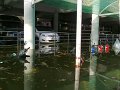 Prakard Thongprapai 26-10-54 (9)